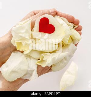Concept de coeur de maman. Mains froissées tenant les pétales de fleurs et le cœur rouge. Banque D'Images