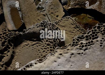 Marches sculptées dans le plateau rocheux, formes organiques sculptées par la nature et l'homme à Mahon Ocean Pool, Maroubra, Sydney, Australie Banque D'Images