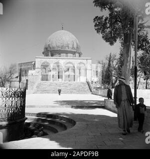 Moyen-Orient 1950-1955 : Jérusalem Description: Al Haram Esh-Sharif - Mont Du Temple. Rock Dome ou Qubbet es-Sakhra avec porte donnant accès à la place sur laquelle le sanctuaire est construit Annotation: Au moment de l'enregistrement cet endroit était en Jordanie Date: 1950 lieu: Palestine, Jérusalem, Jordanie mots clés: Architecture, arbres, sanctuaires, Islam, dômes, squarees, ports Banque D'Images