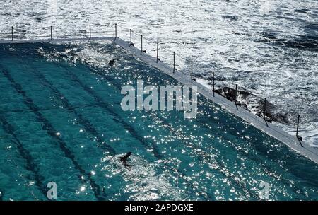 Deux nageurs à la célèbre piscine de Bondi Icebergs, dans un océan scintillant et lumière du matin Banque D'Images