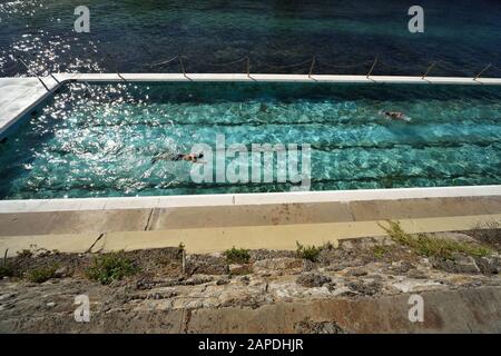 Deux hommes nagent à la piscine Geoff James, Clovelly, Sydney Banque D'Images