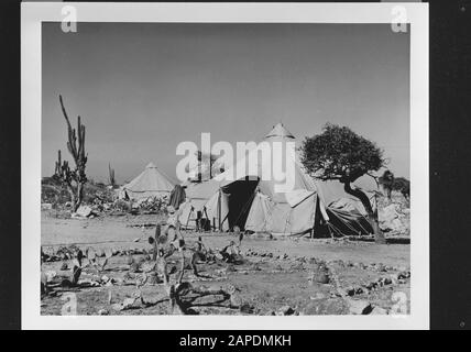 Wi [West Indies]/Anefo London series Description: Camp de l'armée américaine à la raffinerie de la Lago Oil and Transport Company à Saint-Nicolas. Au premier plan un jardin de cactus Annotation: Repronegative Date: {1940-1945} lieu: Aruba, San Nicolas, Saint Nicolas Bay mots clés: Cactus, tentes, World War II Nom de l'institution: Lago Oil Banque D'Images