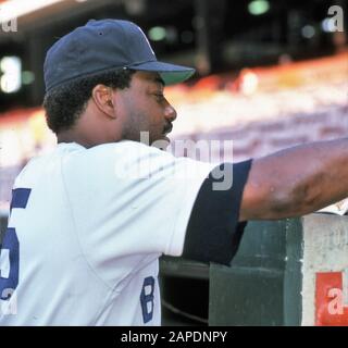 Don Baylor, 1986 Premier contremaître du MLB, fielder de gauche, détestable désigné pour Boston Red Sox, Angels, Oriels, Athlétisme, Yankees, Twins Banque D'Images