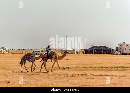 Vue sur le chameau et le rider Banque D'Images