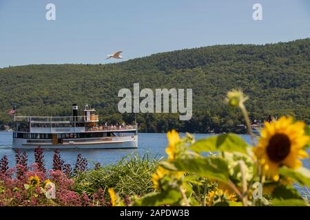 Août 2019 : croisière sur le lac George avec tournesols et fleurs au premier plan en été, NY, États-Unis Banque D'Images