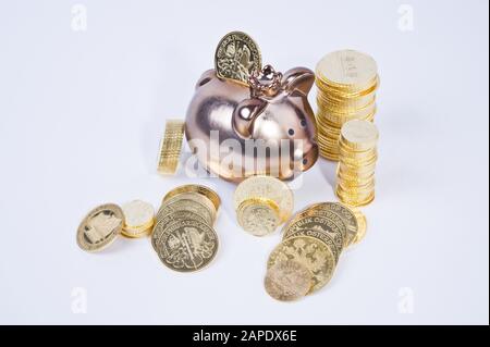 Sparschwein mit Goldmünzen - tirelire et de pièces d'Or Banque D'Images