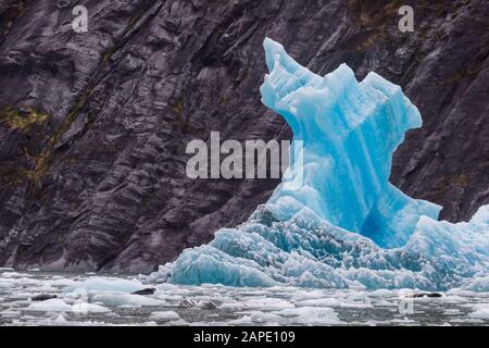 Une scène accidentée de glace bleue dans un fjord noir-inky du glacier de Dawes. Des phoques du port ont été transportés sur la glace à proximité. Banque D'Images