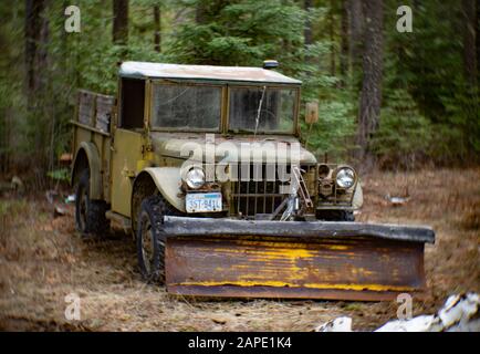 Un camion Dodge M37 ​3/4 tonnes 4 x 4 (G741) de 1953, avec une charrue à neige attachée, dans une zone boisée, à Noxon, Montana. Banque D'Images