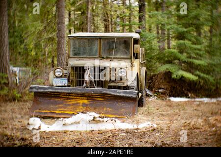 Un camion Dodge M37 ​3/4 tonnes 4 x 4 (G741) de 1953, avec une charrue à neige attachée, dans une zone boisée, à Noxon, Montana. Banque D'Images