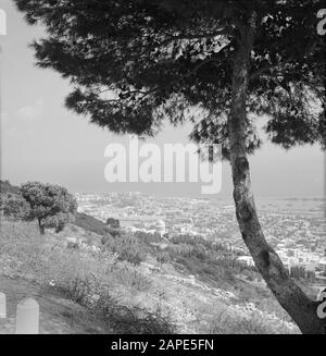 Israël 1964-1965: Haïfa, Temple Bahai Description: Temple Bahai (Maison bahá'í de l'adoration) sur les montagnes du Carmel vu de loin, au premier plan un arbre Annotation: Les maisons bahá'íes de l'adoration sont destinées à la prière et à la méditation et sont librement accessibles à tous Date: 1964 lieu: Carmel, Haïfa, Israël mots clés: montagnes, arbres, panoramas, temples Banque D'Images