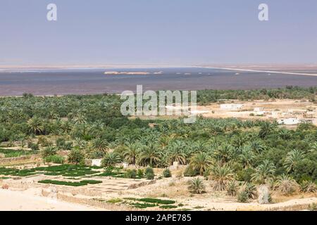 Lac et palmier, Siwa Oasis, Siwa, Egypte, Afrique du Nord, Afrique Banque D'Images