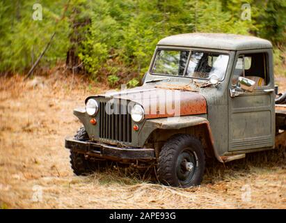 Un camion de jeep Willys de 1948 dans une zone boisée près de Noxon, Montana. Cette image a été prise avec un ancien objectif Petzval non couché, et peut montrer des signes de dist Banque D'Images