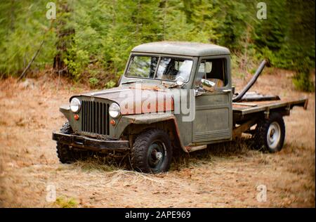 Un camion de jeep Willys de 1948 dans une zone boisée près de Noxon, Montana. Cette image a été prise avec un ancien objectif Petzval non couché, et peut montrer des signes de dist Banque D'Images