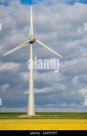 Plan vertical d'un moulin à vent sur un champ herbacé avec un ciel nuageux en arrière-plan Banque D'Images