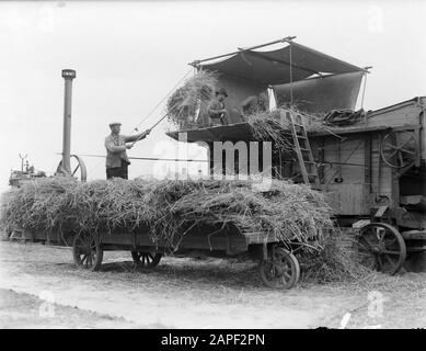Reportage Noord-Holland Description: Agriculteurs chargeant de la paille à un batteur avec un moteur à vapeur comme un lecteur dans l'Anna Paulownapolder Date: 1 Janvier 1930 lieu: Anna Paulowna, Noord-Holland mots clés: Travailleurs, agriculteurs, agriculture, machines, récolte Banque D'Images