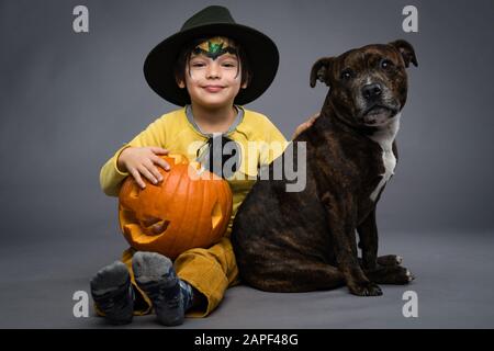 Un petit garçon gai dans un chapeau tient une poupée garante de citrouille, le chien est assis à côté de lui, sur un fond gris. Célébration d'Halloween Banque D'Images