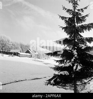 Rothaargebergte Description: Boswachterij Ihrige, post wingesausen dans la neige Date: Non détoné lieu: Allemagne, Rhénanie-du-Nord-Westphalie, Pays aigre, Allemagne de l'Ouest, Wingesausen mots clés: Paysages, parcs nationaux, neige, hiver Banque D'Images