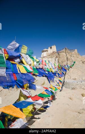 Drapeaux de prière et Temple Tsemo Maitreya, également Namgyal Tsemo Gompa, ou monastère Namgyal Tsemo, Leh, Ladakh, inde, Asie du Sud, Asie Banque D'Images