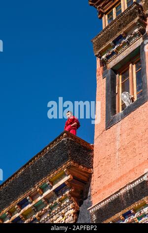 Thiksey Gompa ou le monastère de Thiksey, aussi Thikse Gompa, est un complexe de stracture du bouddhisme tibétain, banlieue de Leh, Ladakh, inde, Asie du Sud, Asie Banque D'Images