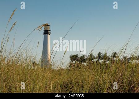 Plage de Floride Banque D'Images