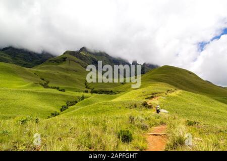 Un homme de randonnée sur un petit chemin menant à Blindman's Corner, des prairies vertes et des montagnes vertes, à Monk's Cowl, au château de Champagne et au shro de Cathkin Peak Banque D'Images