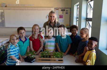 Professeur de femme autour d'une boîte de plantes pour une leçon d'étude de la nature dans une classe d'école primaire Banque D'Images