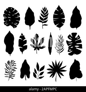 Silhouettes de feuilles tropicales isolées sur fond blanc. Illustration vectorielle Illustration de Vecteur