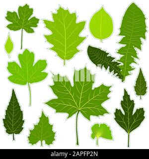 Autocollants de feuilles vertes sur fond blanc vectoriel Illustration de Vecteur