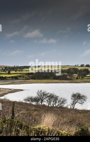 Le moorland sombre robuste autour du lac Colliford sur Bodmin Moor en Cornouailles. Banque D'Images