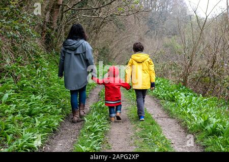 La mère et les fils marchent ensemble lors d'une journée de malteuse pluvieuse dans les bois. Banque D'Images