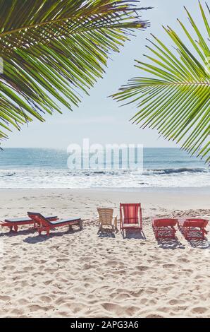 Chaises longues vides sur une plage tropicale, concept de vacances d'été, coloration appliquée. Banque D'Images