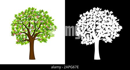 Vecteur isolé de l'arbre de floraison du ressort Illustration de Vecteur