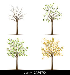 Quatre saisons vector arbres Illustration de Vecteur