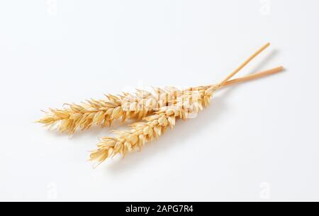 Deux oreilles de blé sur fond blanc Banque D'Images