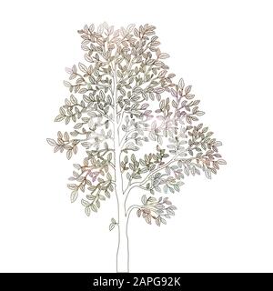 Arbre avec contours de feuilles sur un vecteur d'arrière-plan blanc Illustration de Vecteur