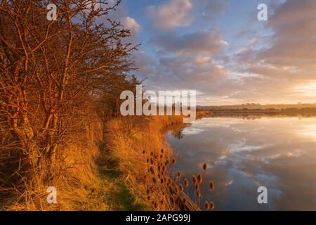 Lumière du soir dans la Réserve naturelle nationale De Far Ings à Barton on Humber dans le Lincolnshire du Nord. Propriété de la Lincolnshire Wildlife Trust Banque D'Images