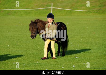 Shetland Pony Festival et Breed show qui a eu lieu à Shetland en 2009 Banque D'Images