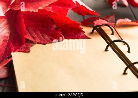 Vue rapprochée du carnet d'artisanat ouvert avec feuilles rouges d'automne de raisins de jeune fille. Mise au point douce. Espace de copie Banque D'Images