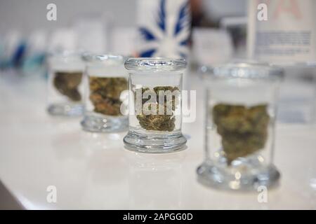 Foyer sélectif d'une fleur de cannabis dans un petit bol en verre sur une surface blanche Banque D'Images