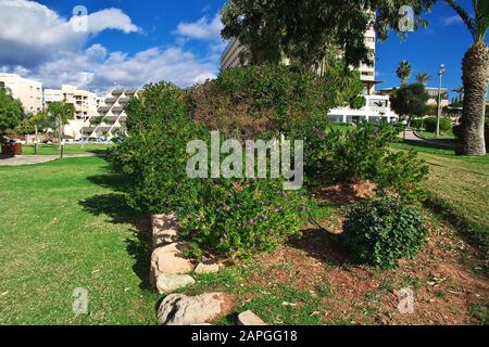 Le parc de Limassol, Chypre Banque D'Images