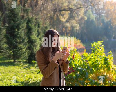 Belle jeune fille dans le parc, tenant un smartphone et de discuter en ligne sur Internet. Jeune femme aux cheveux longs Banque D'Images