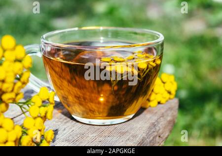 Thé aux herbes ou teinture au tansy dans un mug et fleurs de tansy jaunes sur la surface d'une table en bois sur le fond de la nature. Herbes de guérison. Phyto Banque D'Images