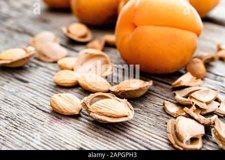 Graines d'abricot et d'abricot sur le fond de vieux planches. Abricots pour la fabrication de comprimés et de médicaments. Gros plan. Banque D'Images