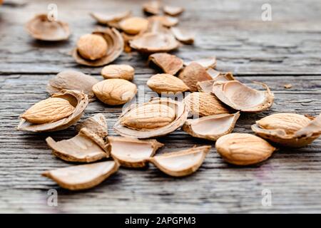 Le noyau d'abricots et de pierres sur le fond de vieux planches. Abricots pour la fabrication de comprimés et de médicaments. Gros plan. Banque D'Images