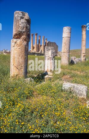 Jordanie. Des colonnes de pierre debout et d'autres débris dispersés sont tout ce qui reste à l'ancienne ville romaine de Jerash non loin de la capitale de Jordanie d'Amman au Moyen-Orient Banque D'Images