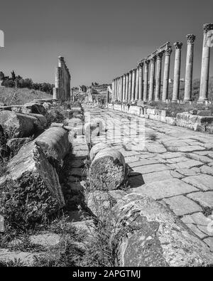 Jordanie. Colonnades en pierre libre debout en monochrome sur la rue principale autrefois de l'ancienne ville romaine de Jerash non loin de la capitale de Jordanie d'Amman au Moyen-Orient Banque D'Images