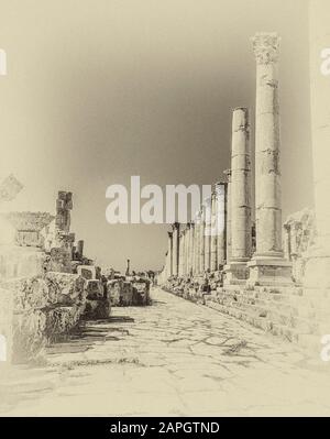 Jordanie. Colonnades en pierre libre debout en monochrome sur la rue principale autrefois de l'ancienne ville romaine de Jerash non loin de la capitale de Jordanie d'Amman au Moyen-Orient Banque D'Images