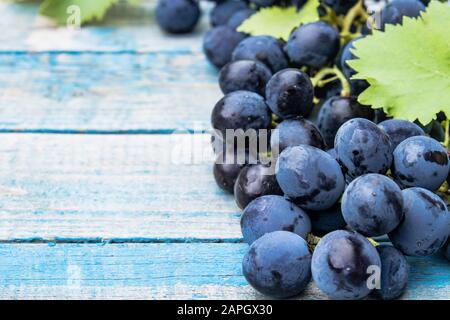 Raisins bleus et feuilles vertes sur les vieux planches bleues. Un bouquet de raisins sur une table en bois. Espace de copie Banque D'Images