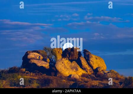 Desert Moonrise-Scottsdale, Az. Réserve de McDowell Sonoran. Banque D'Images