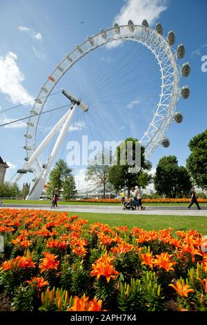 Les fleurs fleurissent dans les jardins du Jubilee à côté du London Eye Banque D'Images